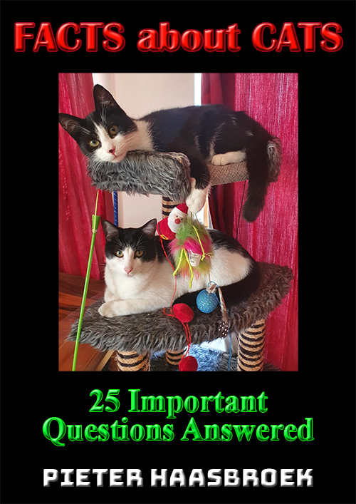 FACTS ABOUT CATS - 25 IMPORTANT QUESTIONS ANSWERED